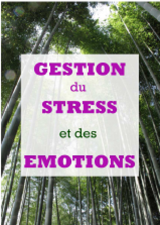 Atelier de gestion de stress
                et des émotions
